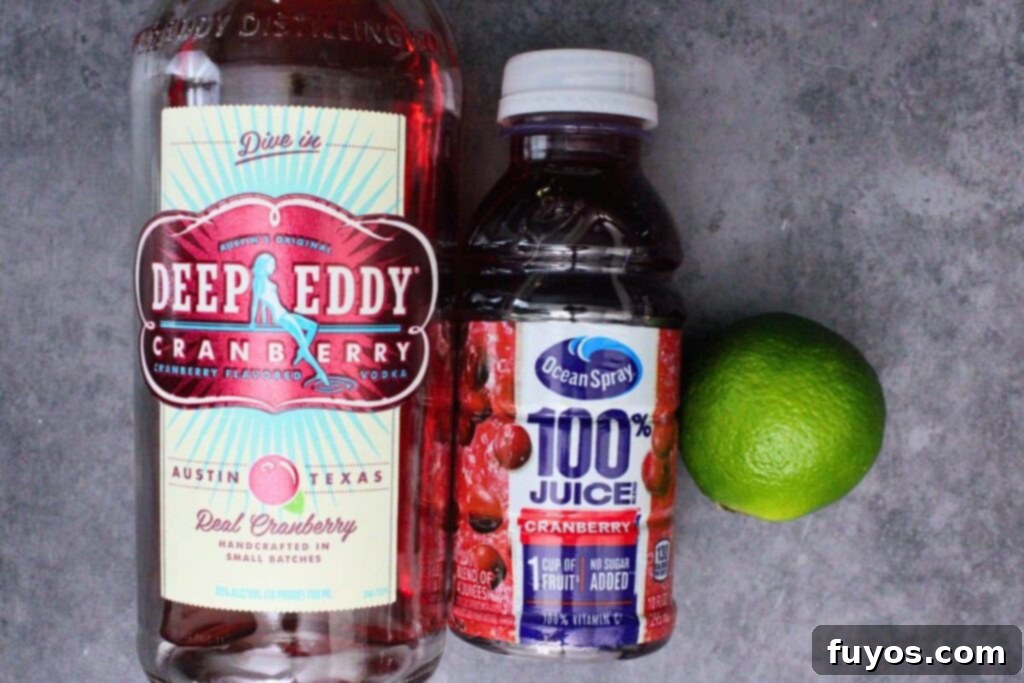 Mastering the Perfect Cape Codder Vodka Cranberry Redefined 4 ingredients to make cape codder cocktail