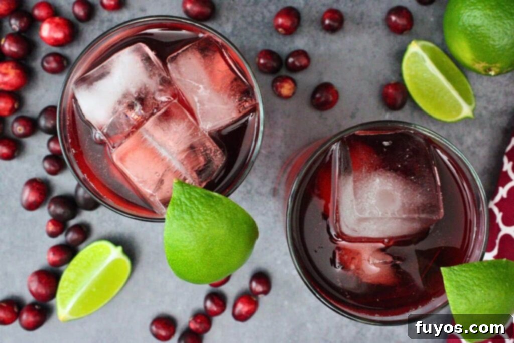 Mastering the Perfect Cape Codder Vodka Cranberry Redefined 6 overhead view of two cape codder drinks garnished with lime wedge surrounded by fresh cranberries and lime