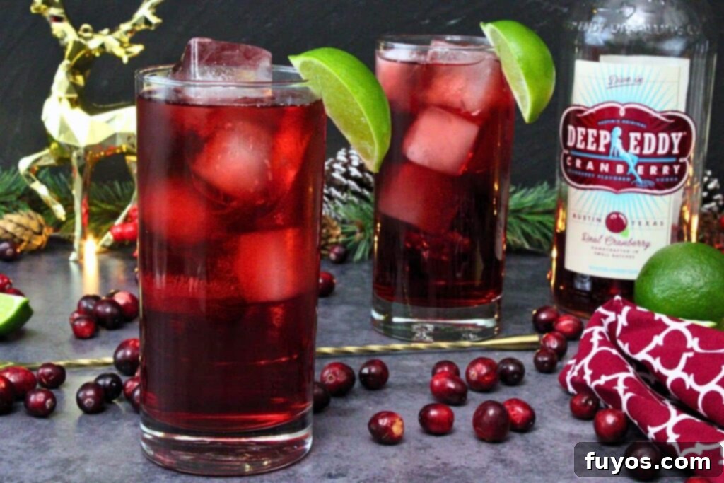 Mastering the Perfect Cape Codder Vodka Cranberry Redefined 7 two cape codder cocktails garnished with lime wedge and surrounded by fresh cranberries and gold drink stirrer