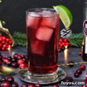 Mastering the Perfect Cape Codder Vodka Cranberry Redefined 8 cape codder cocktail recipe dinners done quick featured image