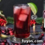 Mastering the Perfect Cape Codder Vodka Cranberry Redefined 9 cape codder cocktail recipe dinners done quick featured image