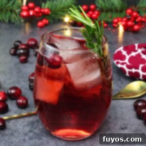 cranberry vodka spritzer recipe dinners done quick featured image