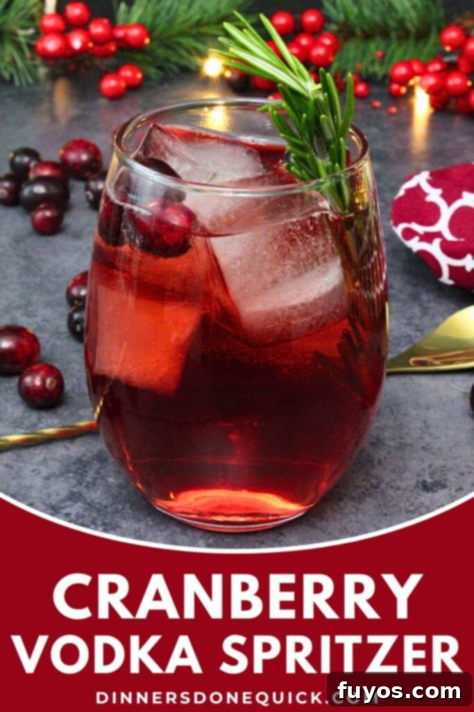 cranberry vodka spritzer recipe dinners done quick pinterest