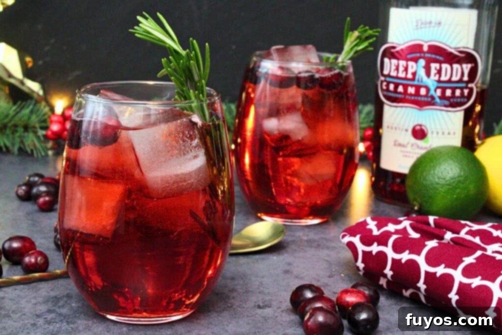 two cranberry vodka spritzer drinks with rosemary garnish and fresh cranberries