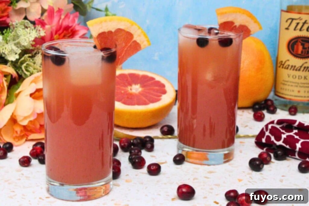 Two Sea Breeze cocktails in Collins glasses with grapefruit and cranberry garnish