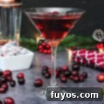 Small image of Cranberry Martini for recipe callout.