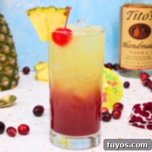 bay breeze cocktail recipe dinners done quick featured image
