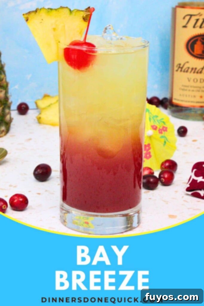 bay breeze cocktail recipe dinners done quick pinterest