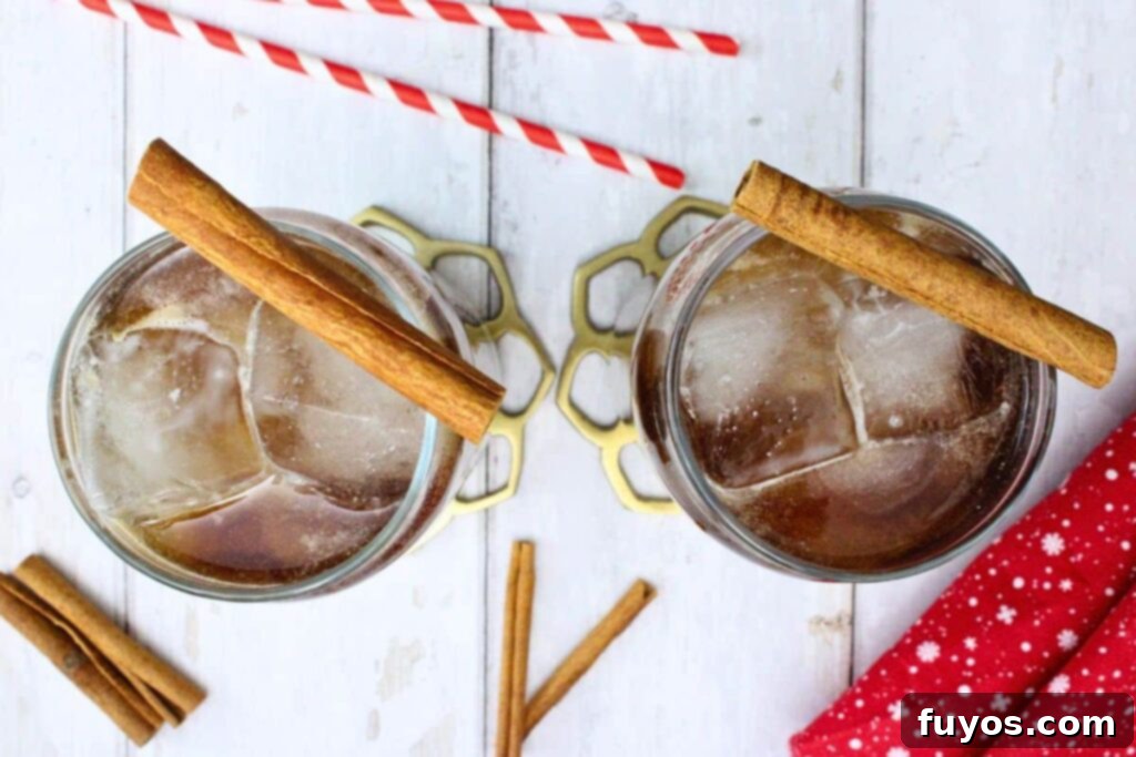 Dr Pepper Eggnog Rum Punch: A Festive Holiday Mixer 7 Overhead view of two Dr Pepper eggnog drinks garnished with cinnamon sticks