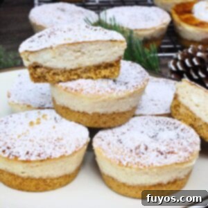mini eggnog cheesecakes recipe dinners done quick featured image