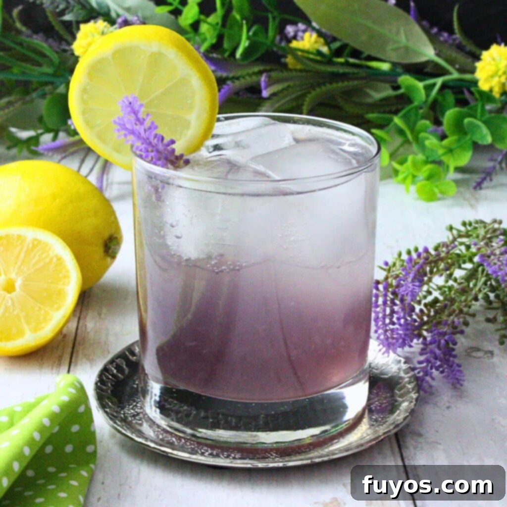Lavender Gin Fizz Recipe
