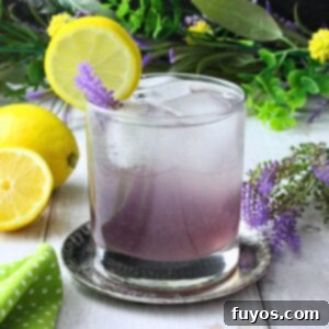 lavender gin fizz recipe dinners done quick featured image