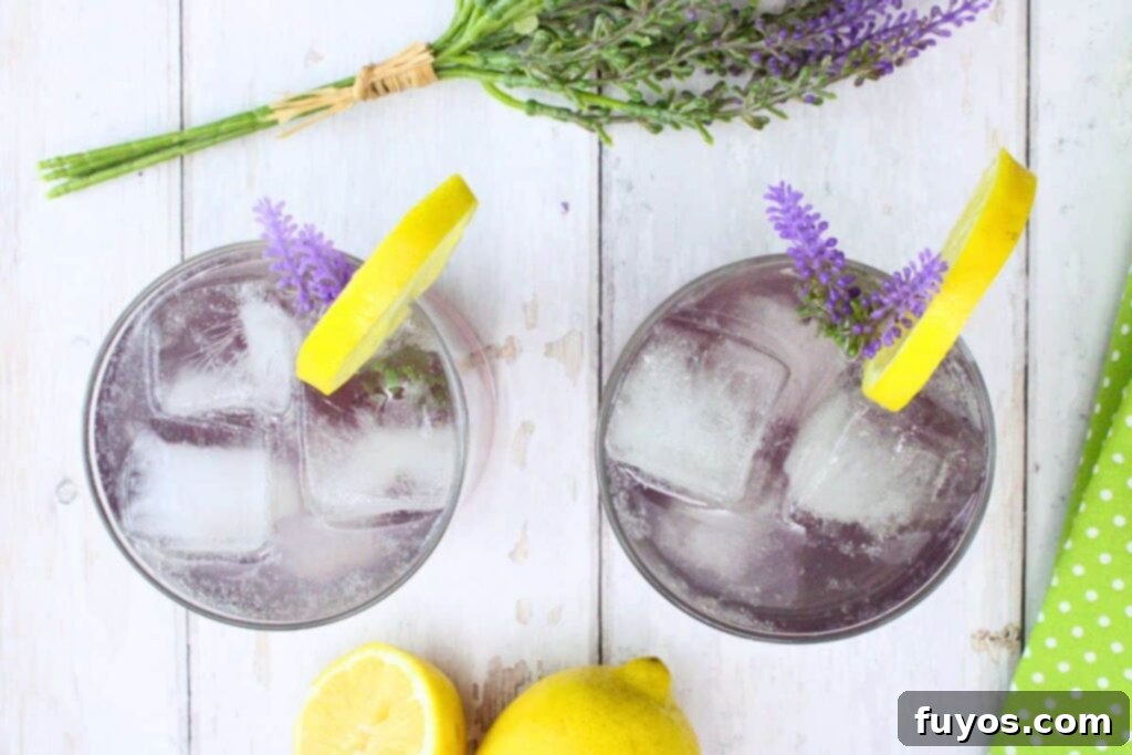 Finished Lavender Gin Fizz with Lemon Garnish