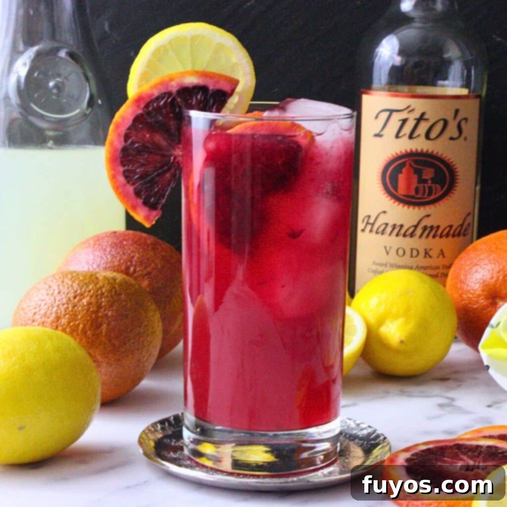 Blood Orange Vodka Lemonade Bliss 2 Blood orange vodka lemonade recipe, a quick and easy cocktail for winter gatherings