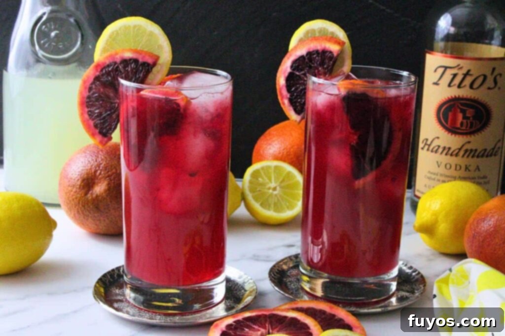 Blood Orange Vodka Lemonade Bliss 3 Two glasses of blood orange vodka lemonade garnished with blood orange and lemon, surrounded by fresh fruit