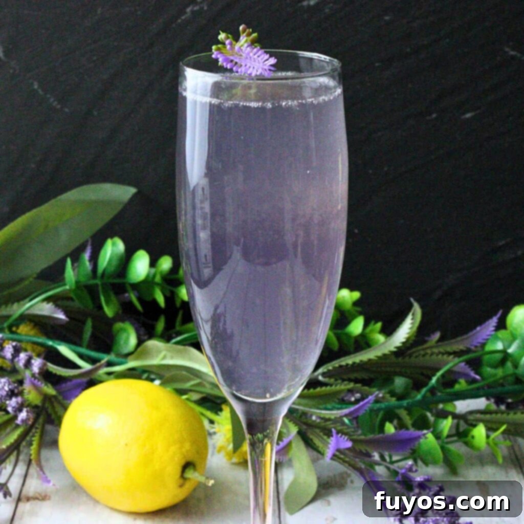 Lavender French 75: A Bubbly Spring Awakening 2 lavender french 75 recipe dinners done quick featured image